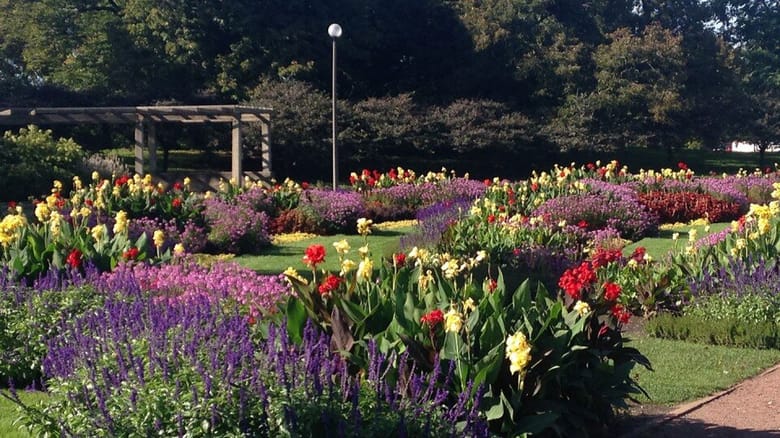 A floral garden.